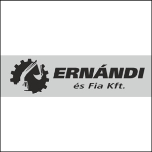 Ernadi